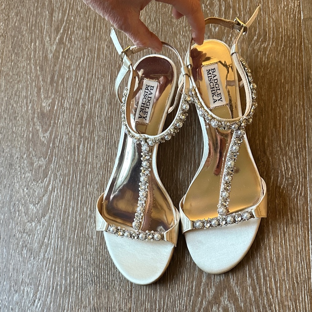 Stunning Badgley Mischka Shoes